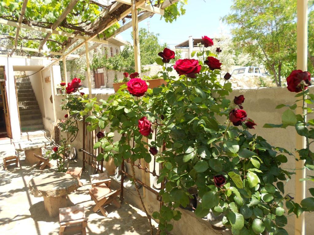 Valleypark Hotel Nevşehir Dış mekan fotoğraf